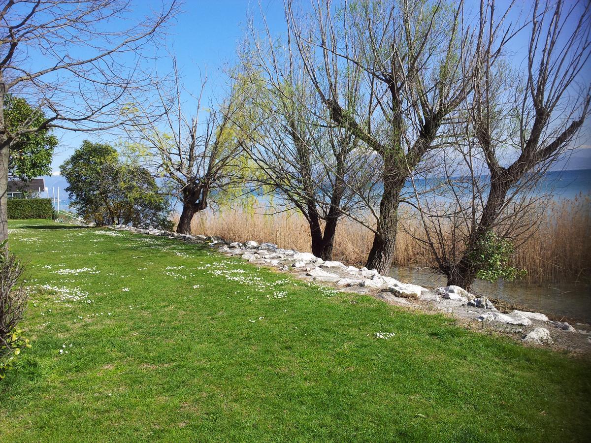 Debora Maison B&B Colombare Di Sirmione Bagian luar foto