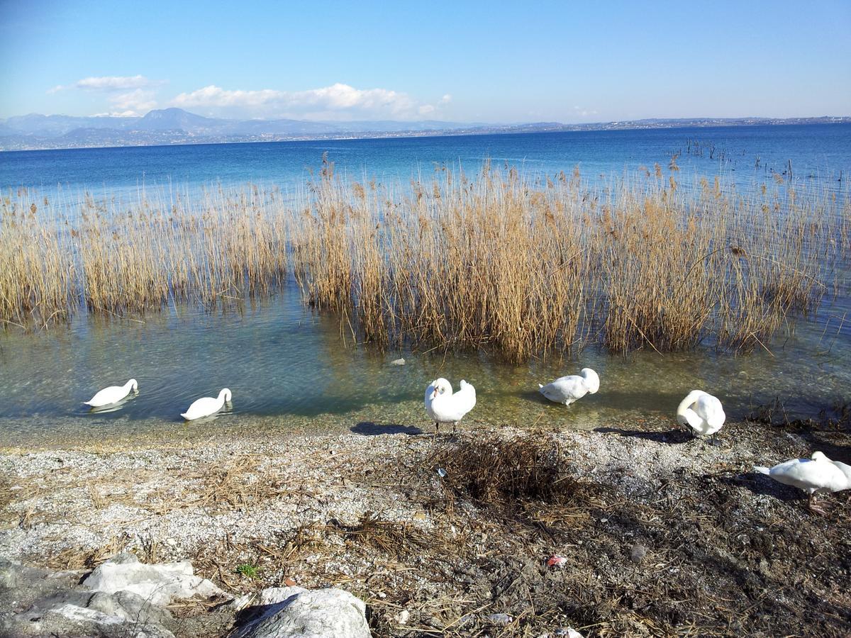 Debora Maison B&B Colombare Di Sirmione Bagian luar foto
