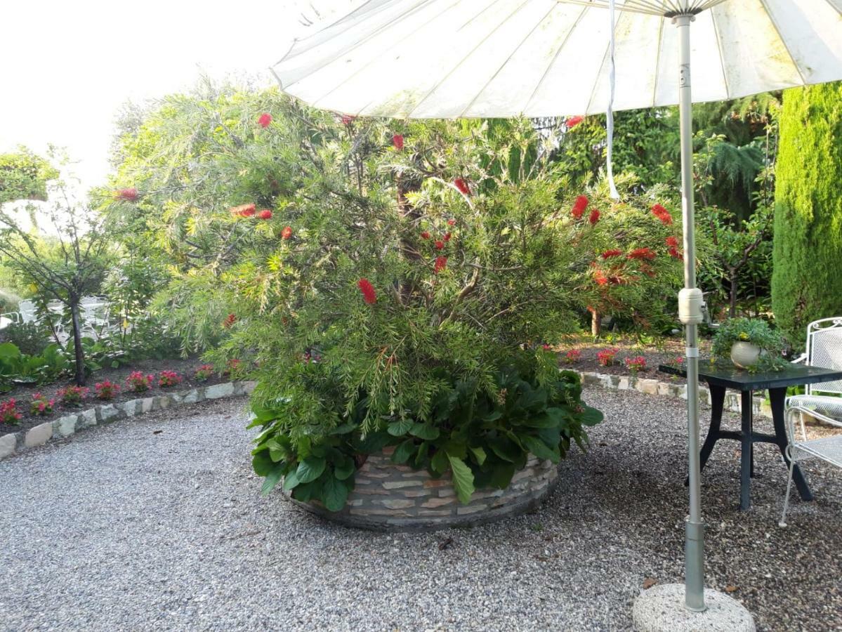 Debora Maison B&B Colombare Di Sirmione Bagian luar foto